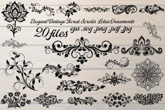 Download Lotus Ornaments Vector Set - Ornament Collection